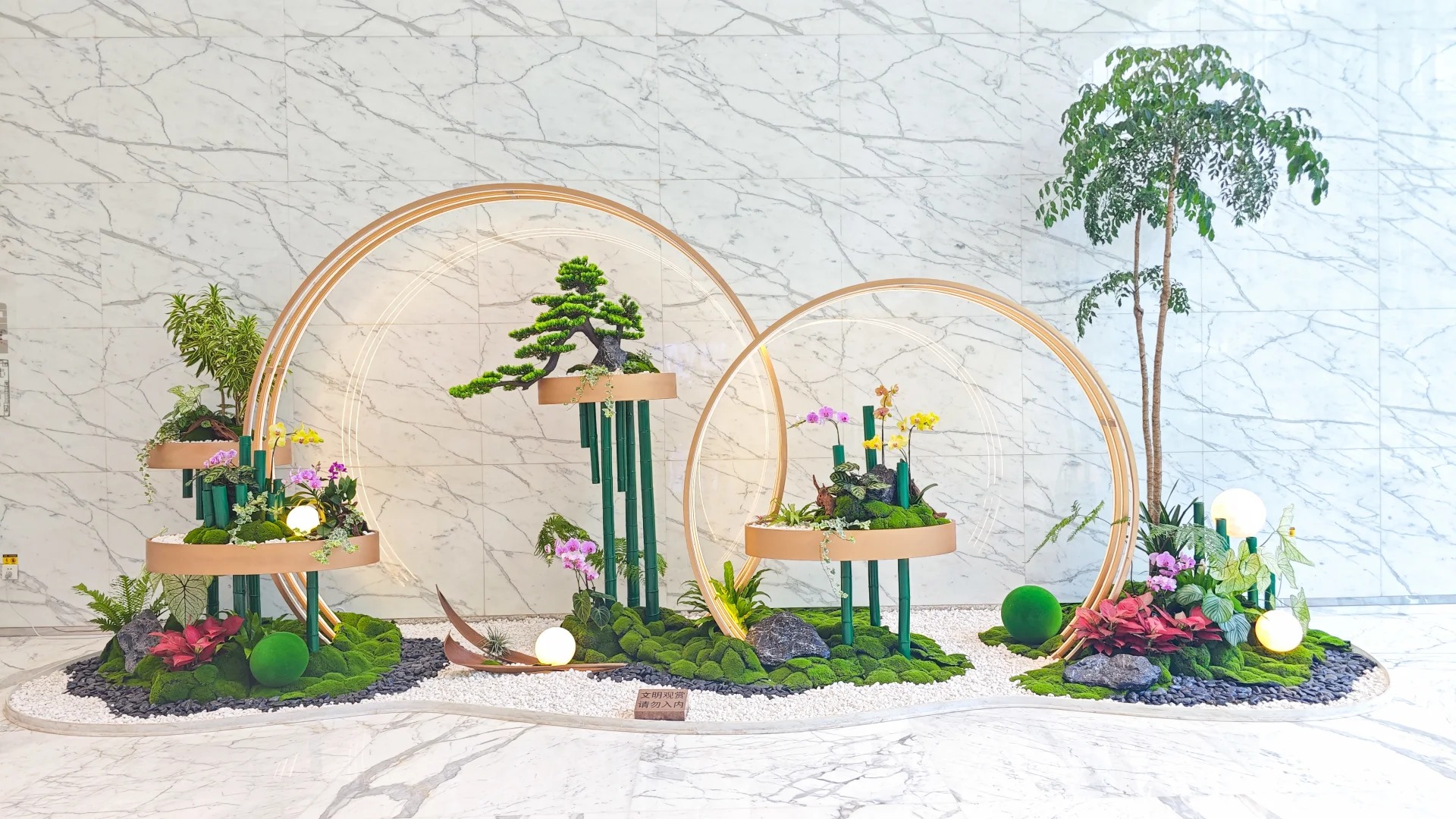 专业绿植出租,给宁波北仑的家带来四季如春的美!